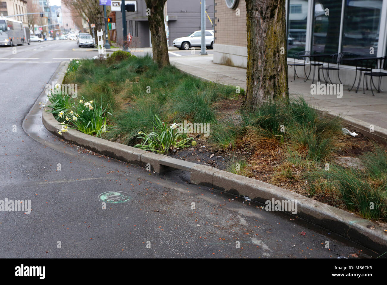 Ein Anbau an der Bordwand und ein Regengarten in Portland, Oregon, der den Regenwasserfluss in das Kanalsystem bei größeren Stürmen eindämmen soll Stockfoto