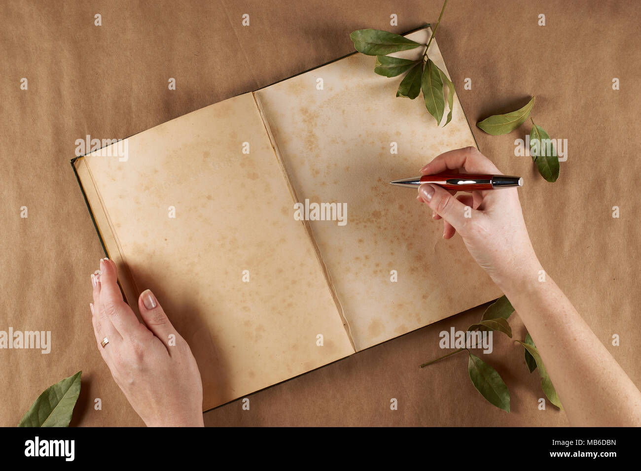 Flaches Aussehen der Frauen Hände, schreibt Gedichte. Für Text platzieren. Stockfoto