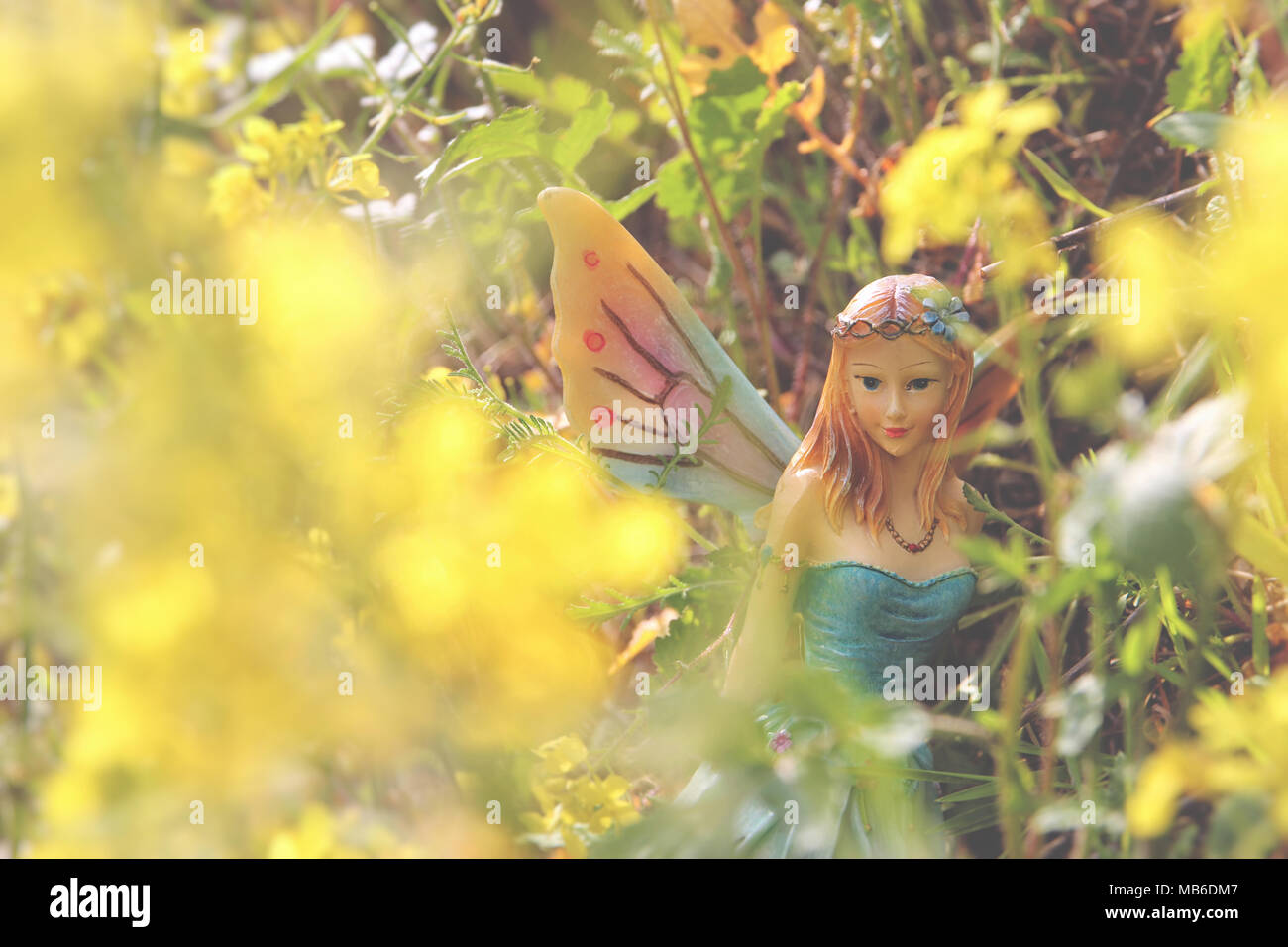 Bild des magischen kleine Fee im Wald Stockfoto