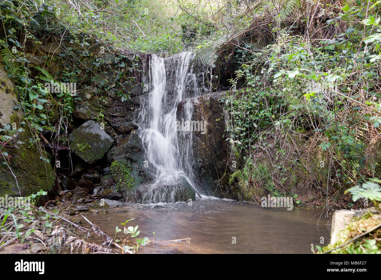 Kleine versteckt waterfll in der Garfagnana, Italien. Ruhige Natur. Stockfoto