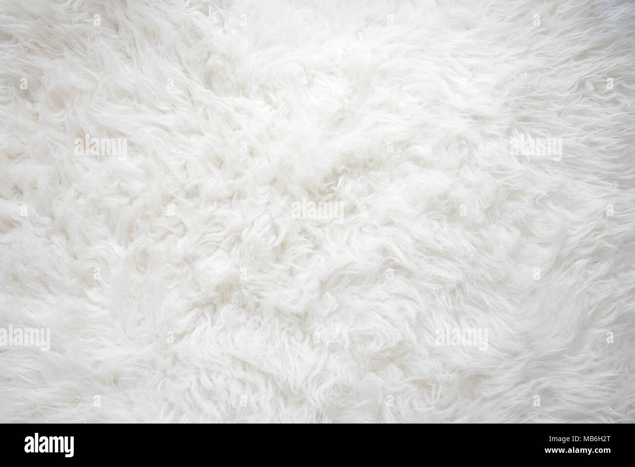 Weissen Flauschigen Teppich Gemutliche Textur Weiss Und Weich