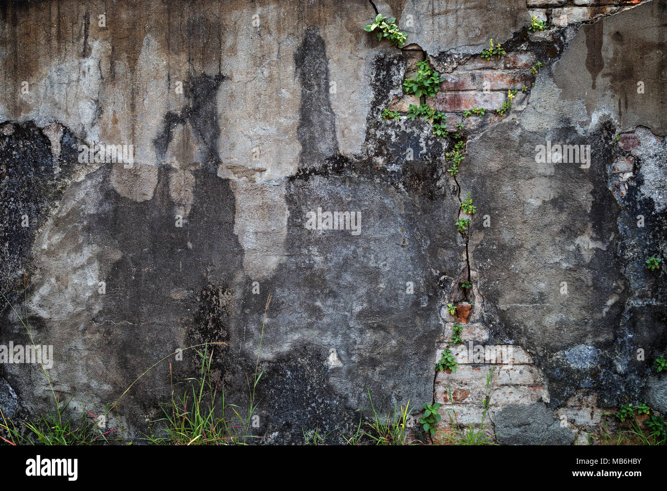 Full Frame Hintergrund einer Verwitterten und beschädigte Beton Wand und einige Pflanzen mit Vignette. Putz teilweise abgeblättert enthüllt Steine. Stockfoto