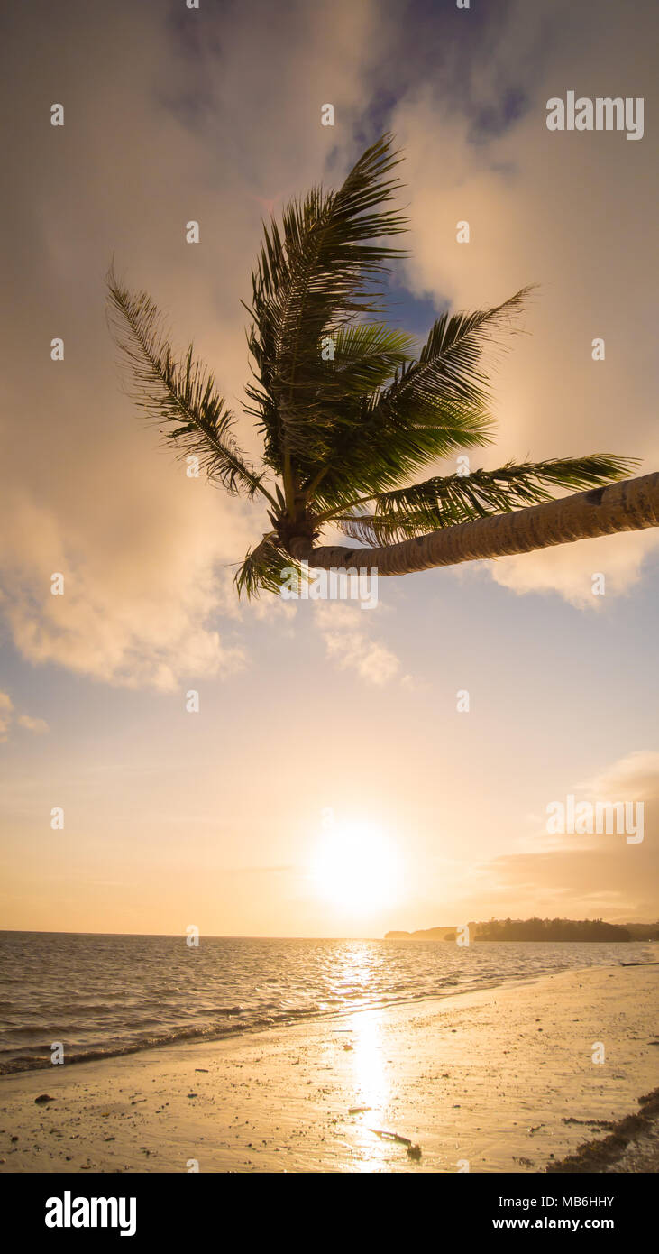 Einsame Palme am Strand bei Sonnenaufgang auf Boracay. Weißen Strand von Boracay Island, Philiphines. Stockfoto