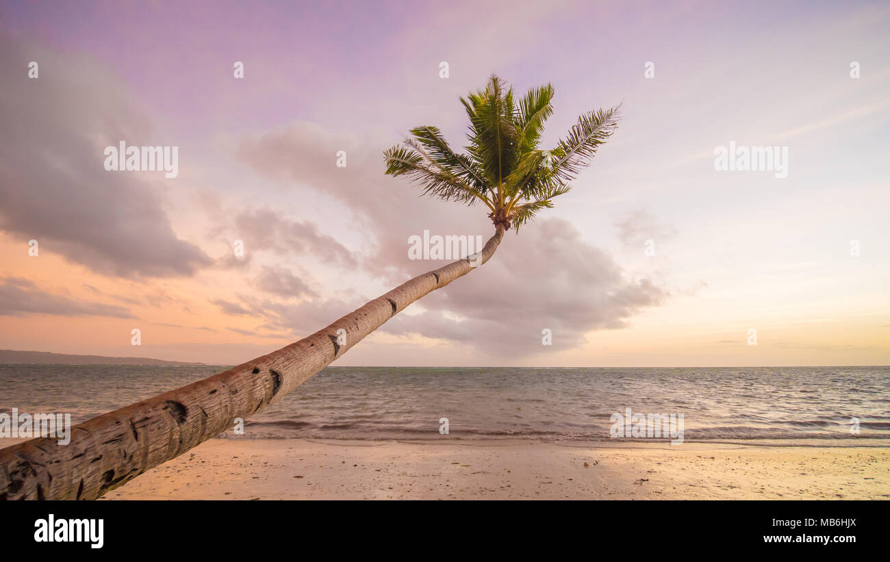 Einsame Palme am Strand bei Sonnenaufgang auf Boracay. Weißen Strand von Boracay Island, Philiphines. Stockfoto
