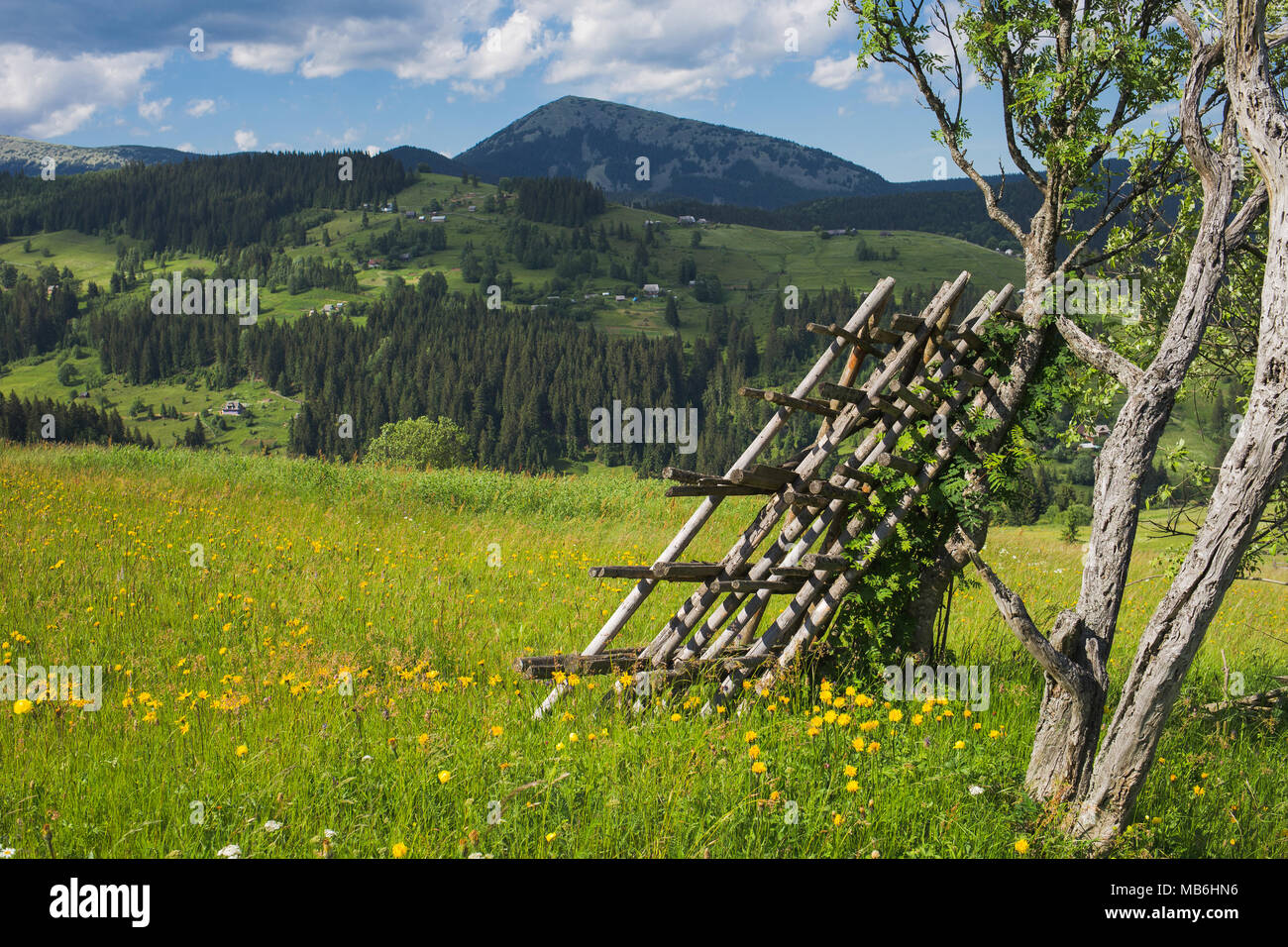 Schönen Sommer Landschaft mit grünen Gras Wiese voll mit gelben Blumen, Bäume, Berge und blauer Himmel. Dorf in der Ferne. Horizontale colo Stockfoto