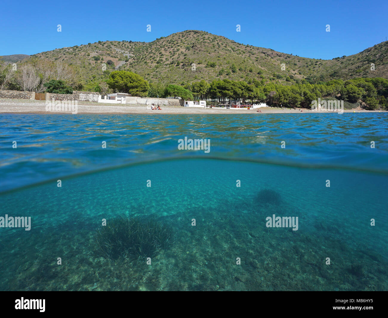 Spanien Küste Cala Montjoi Strand an der Costa Brava und Büschel von Neptun Gras Unterwasser, geteilte Ansicht oberhalb und unterhalb der Oberfläche, Mittelmeer Stockfoto