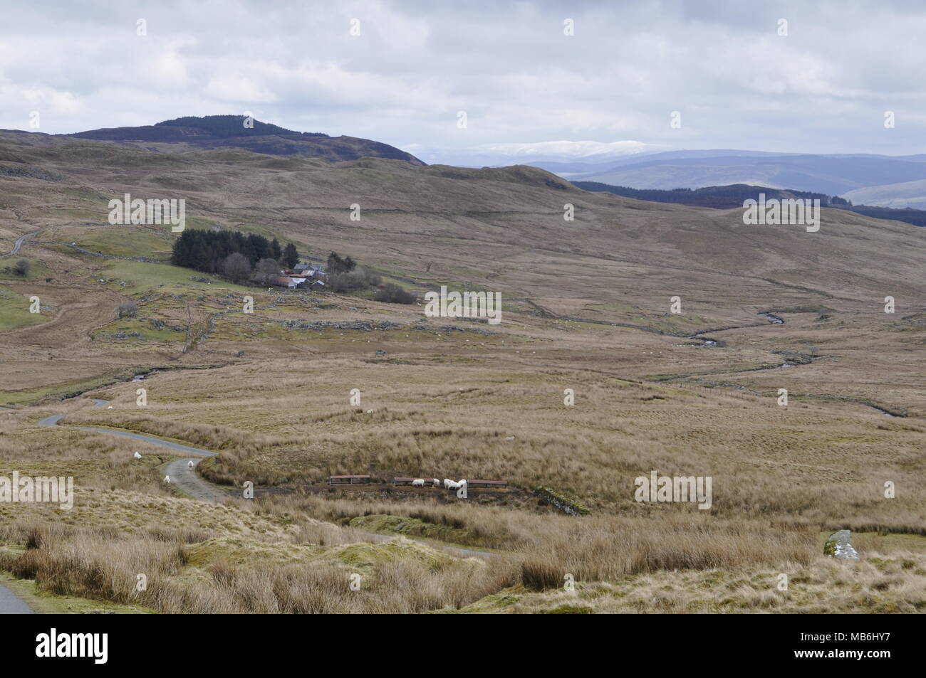Blick nach Osten von OS Grid 796333 nord-westlich von Llanuwchllyn, Snowdonia National Park, Gwynedd, Wales. Stockfoto