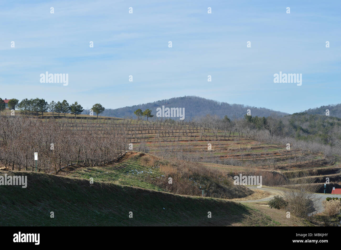 Der Obstgarten in der Georgia Berge im Winter Stockfoto