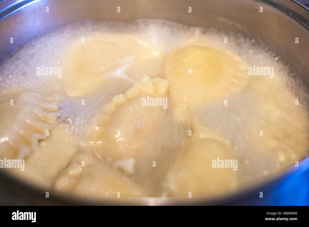 Vareniki - kochen Knödel mit Cottage und Käse. Stockfoto