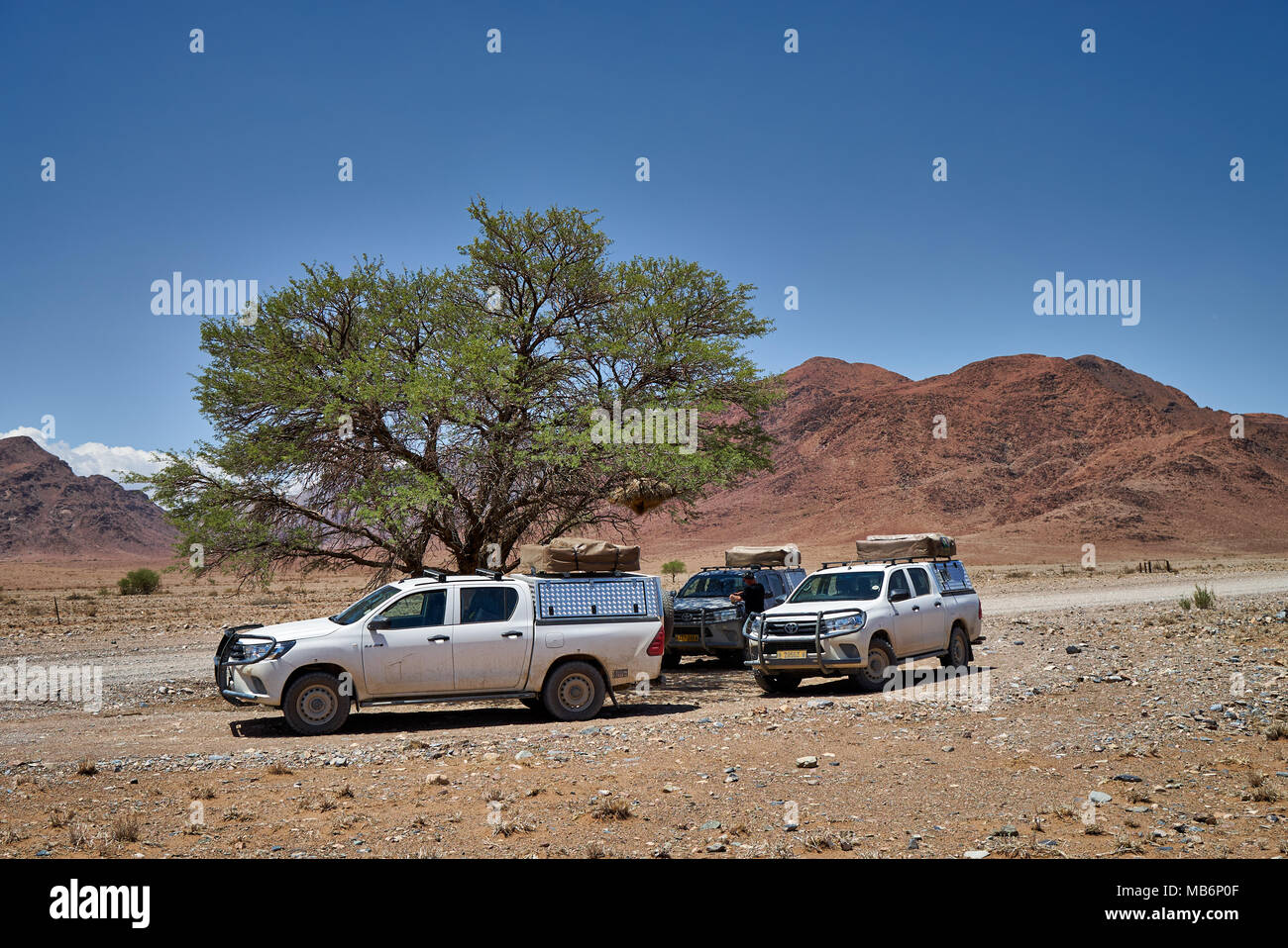 Drei 4x4 Autos für Selbstfahrer Touristen Rast unter einem Baum auf einer Schotterstraße, NamibRand Nature Reserve, Namibia, Afrika Stockfoto