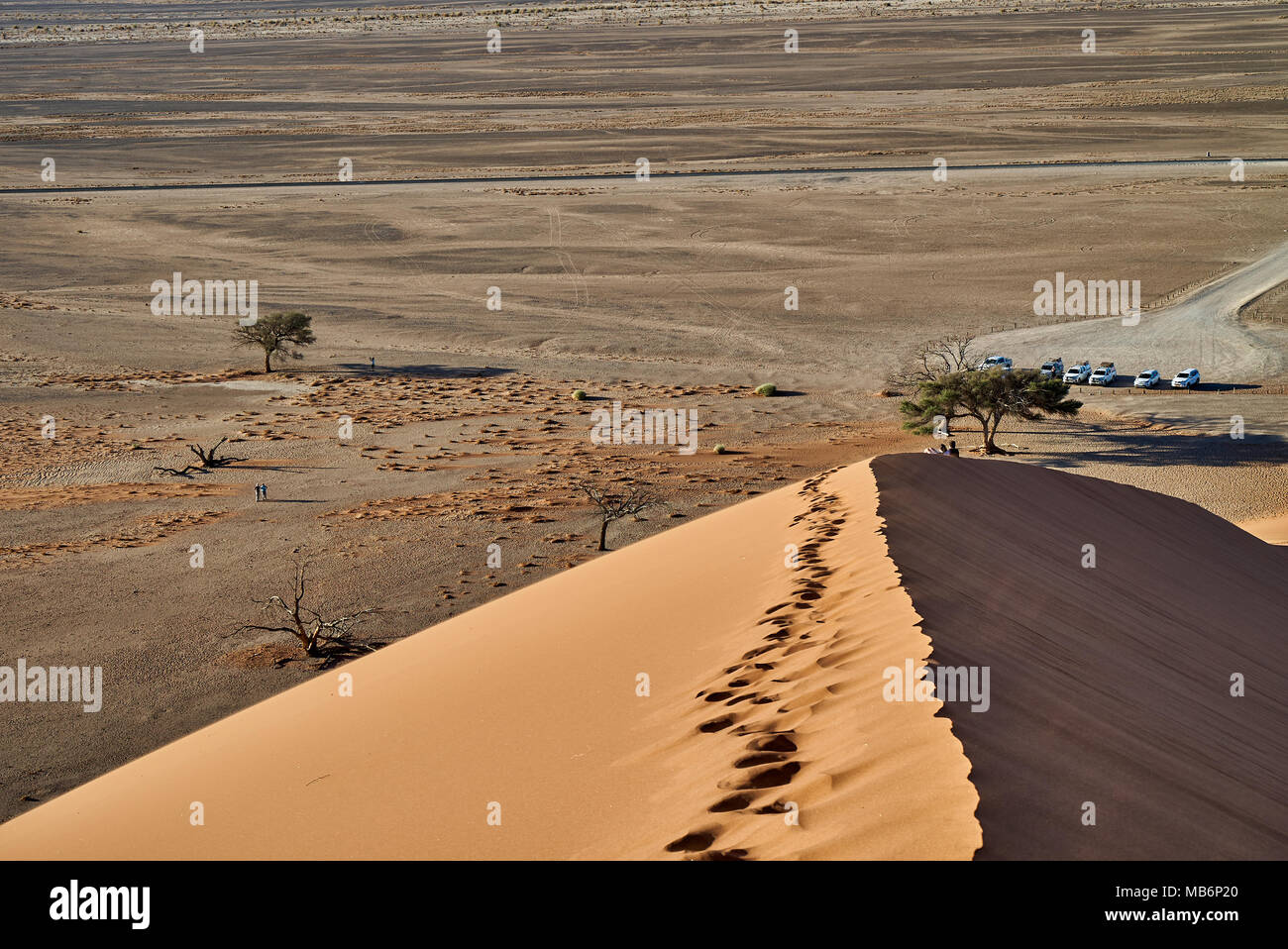 Blick von der Düne 45 ins Tal, die Wüste Landschaft der Namib Stockfoto