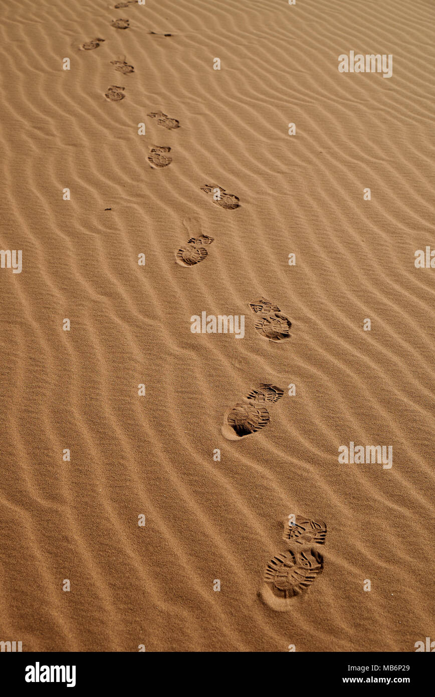 Fußspuren im Sand der Namib Stockfoto