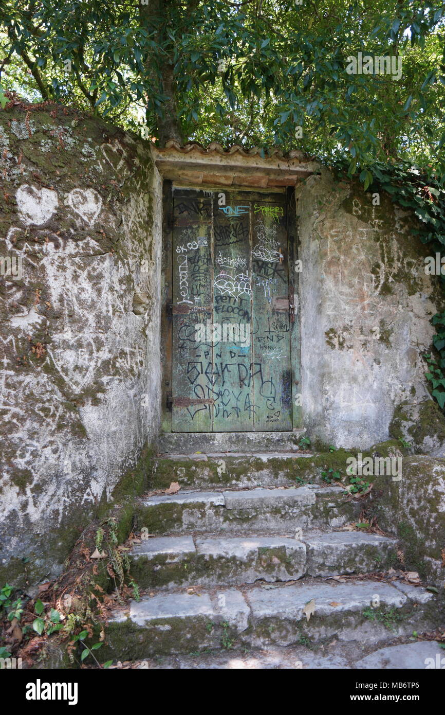 Grüne Holztür mit Graffiti Stockfoto