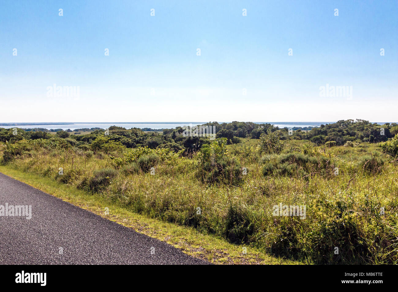 Asphaltierte Straße durch natürliche grüne Feuchtgebiet Vegetation gegen St. Lucia See und blauer Skyline bei iSimangaliso Wetland Park in Zululand, KwaZulu-Natal, Stockfoto