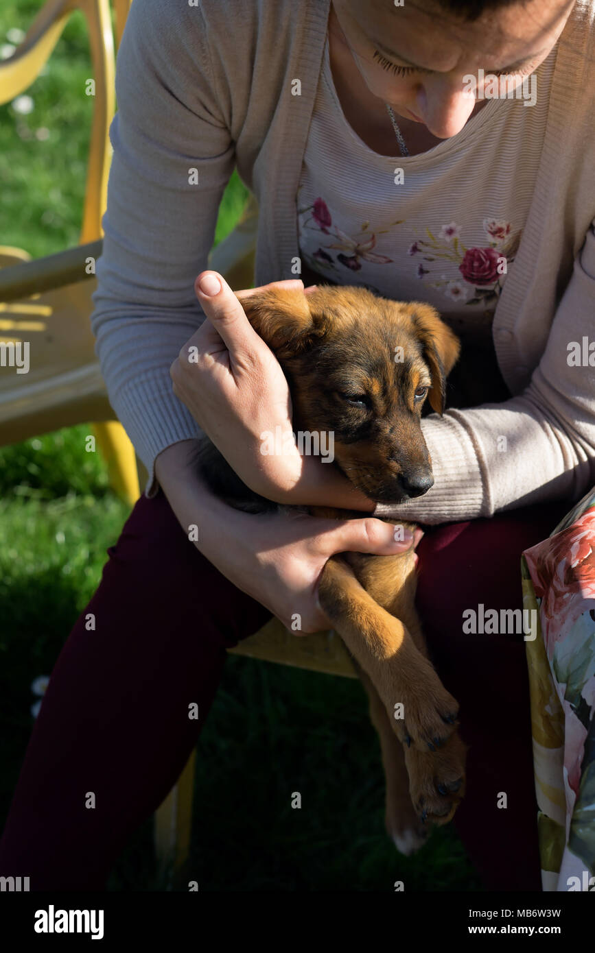 Frau mit Welpen closeup, outdoor Stockfoto