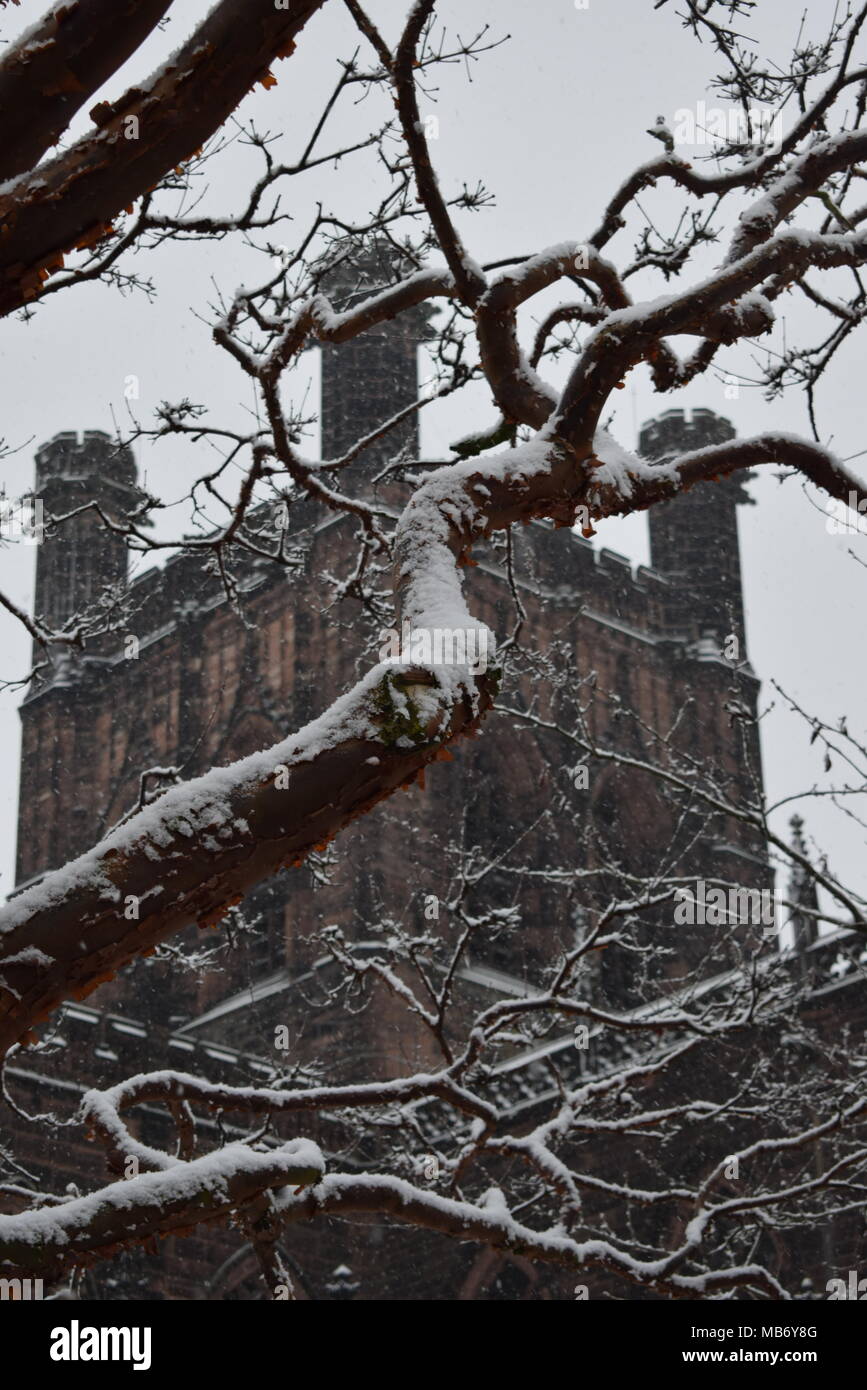 Chester die Anglikanische Kathedrale kämpft die Elemente auf einen schneereichen Winter morgen Stockfoto