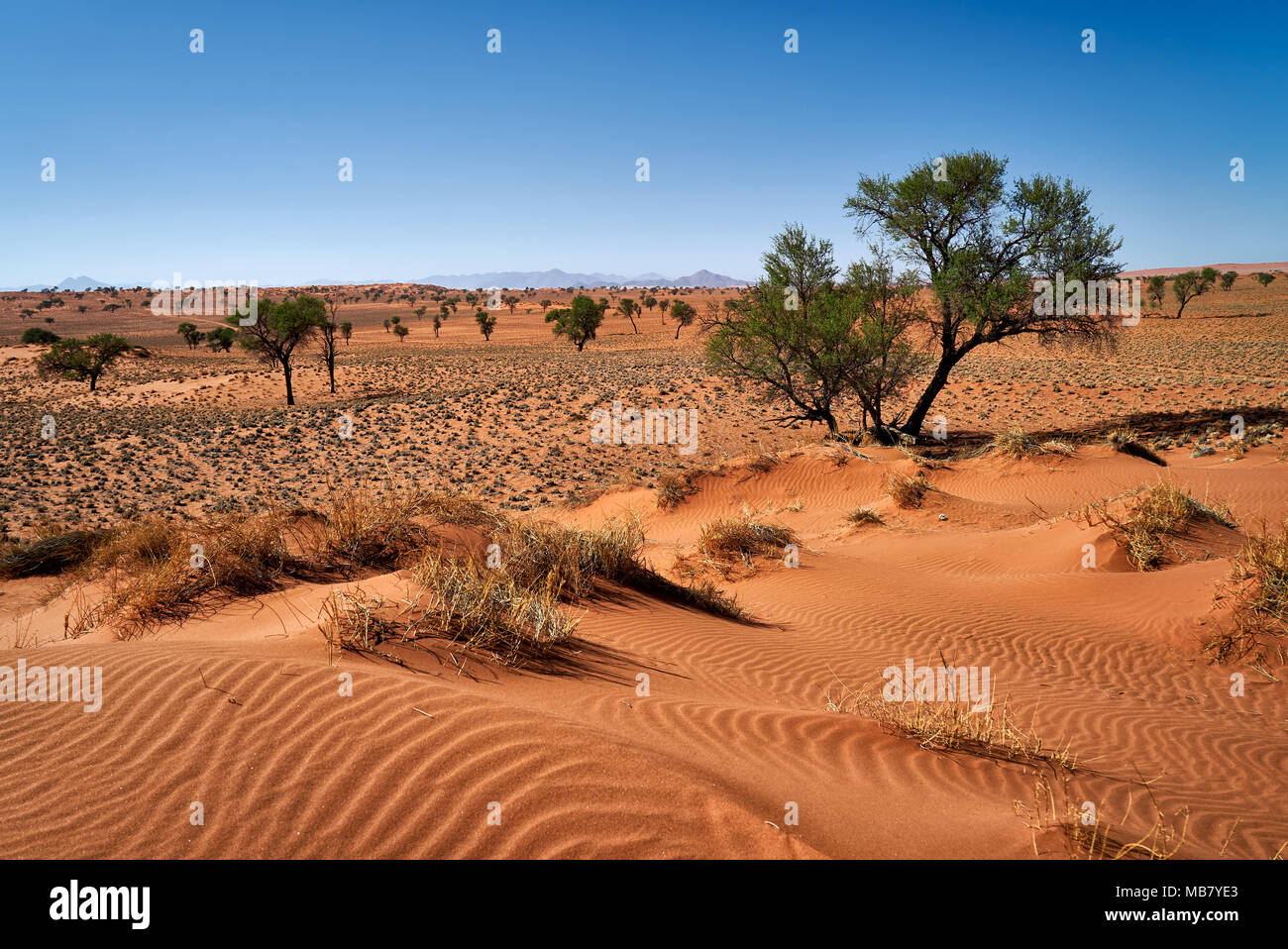 Einsame Landschaft des NamibRand Nature Reserve, Namibia, Afrika Stockfoto