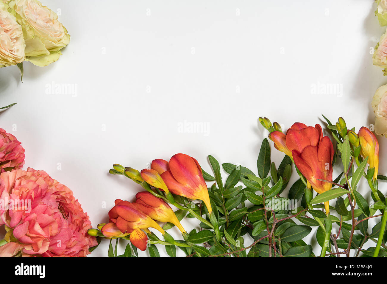 Frühling Blumen. Rosa Blumen auf weißem Holz- Hintergrund. Flach, Ansicht von oben Stockfoto