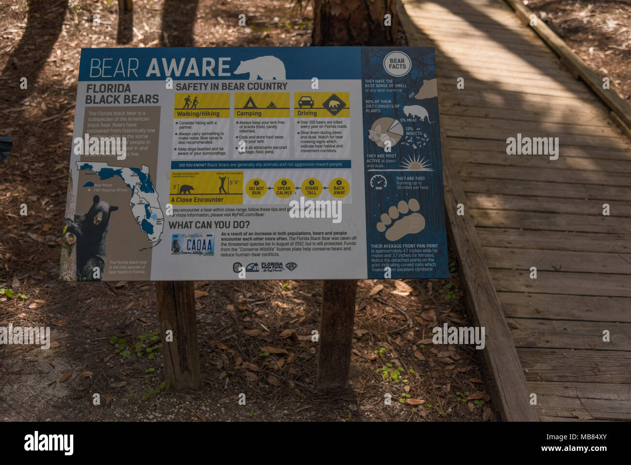 Florida Black Bear Informative Plakat Stockfoto