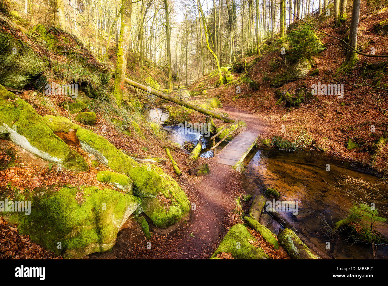 Winter Morgen im Karlstal bei Trippstadt Stockfoto