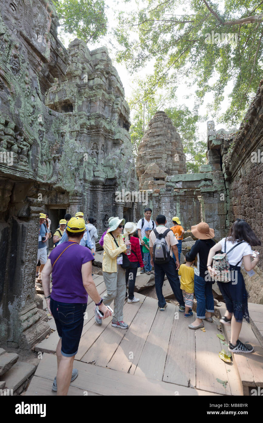 Angkor Touristen - Touristen zum Ta Prohm Tempel, Angkor Ort, UNESCO-Weltkulturerbe, Siem Reap, Kambodscha Asien Stockfoto