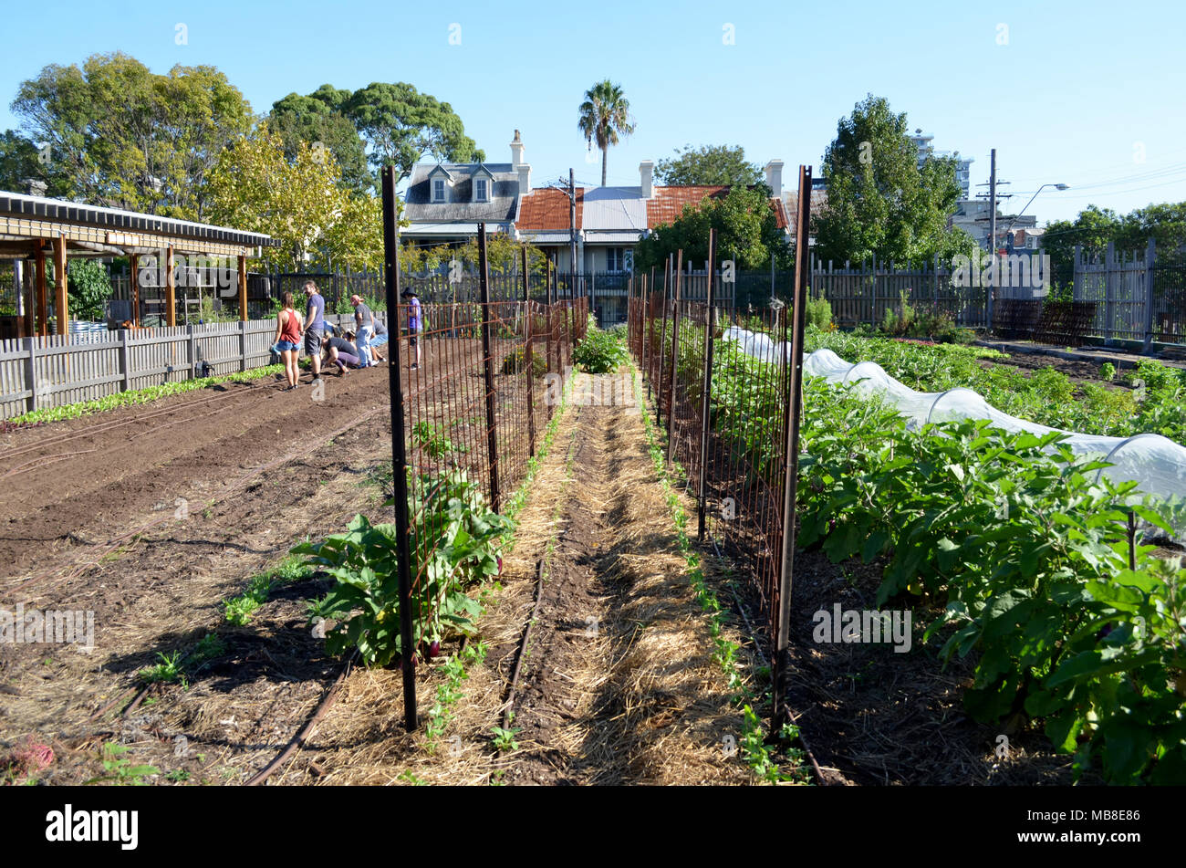 Stadt urban Farm in Camperdown NSW Australien Stockfoto