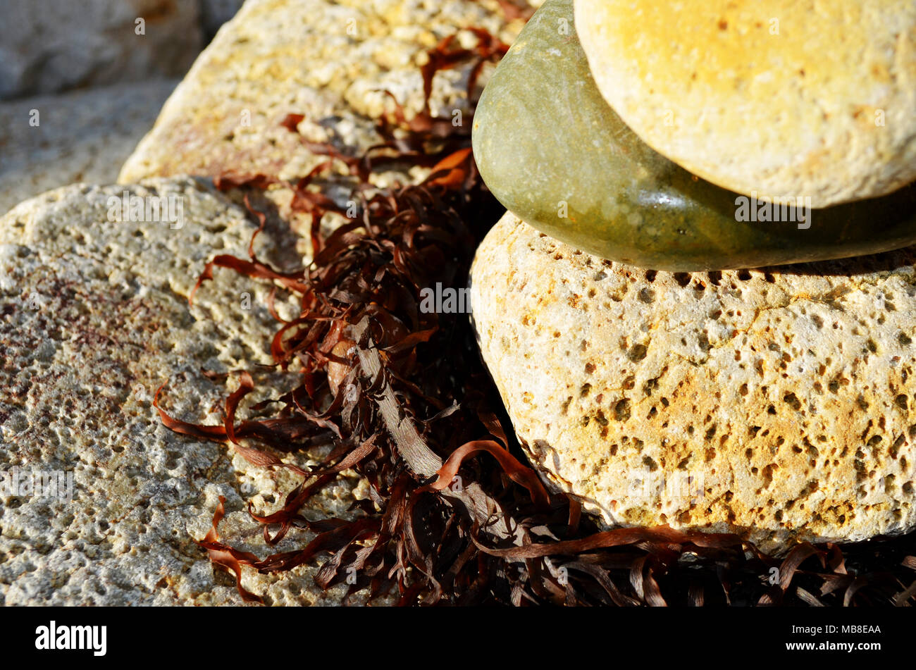 Stapel von Felsen. Pebbles sitzen auf Algen auf Felsen am Diamond Head NSW Australien Stockfoto