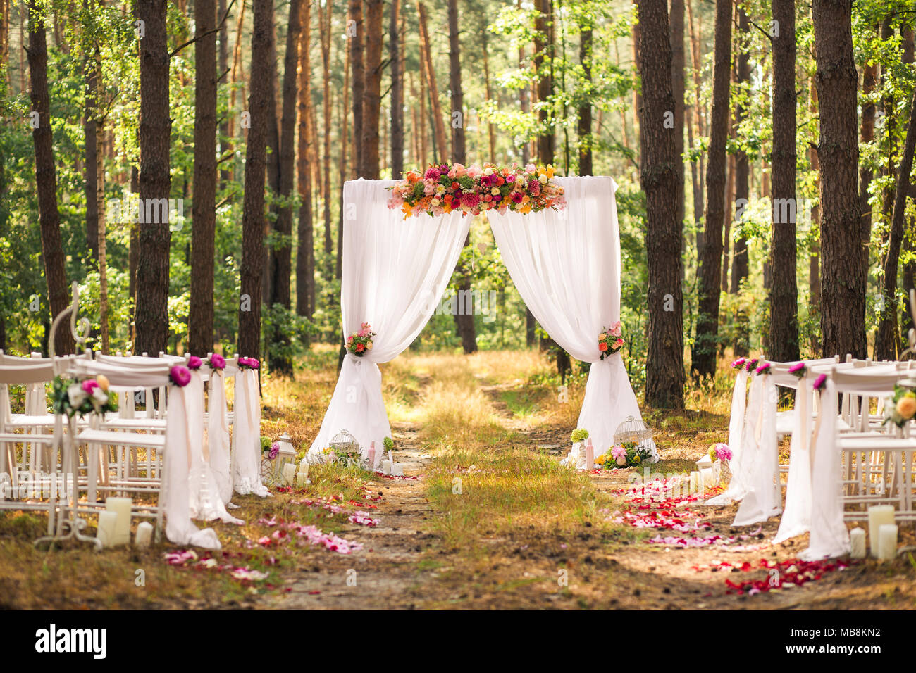 Schöne elegante Hochzeit Dekorationen für Zeremonie außerhalb im alten Wald mit riesigen Pinien. Horizontale Farbe Bild. Stockfoto