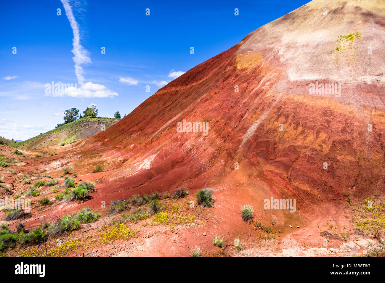 Eine der Oregon Painted Hills. Fettgedruckten roten Sandboden macht eine einzige Hill, gekrönt mit einem leichten Tan farbigen Boden. Stockfoto