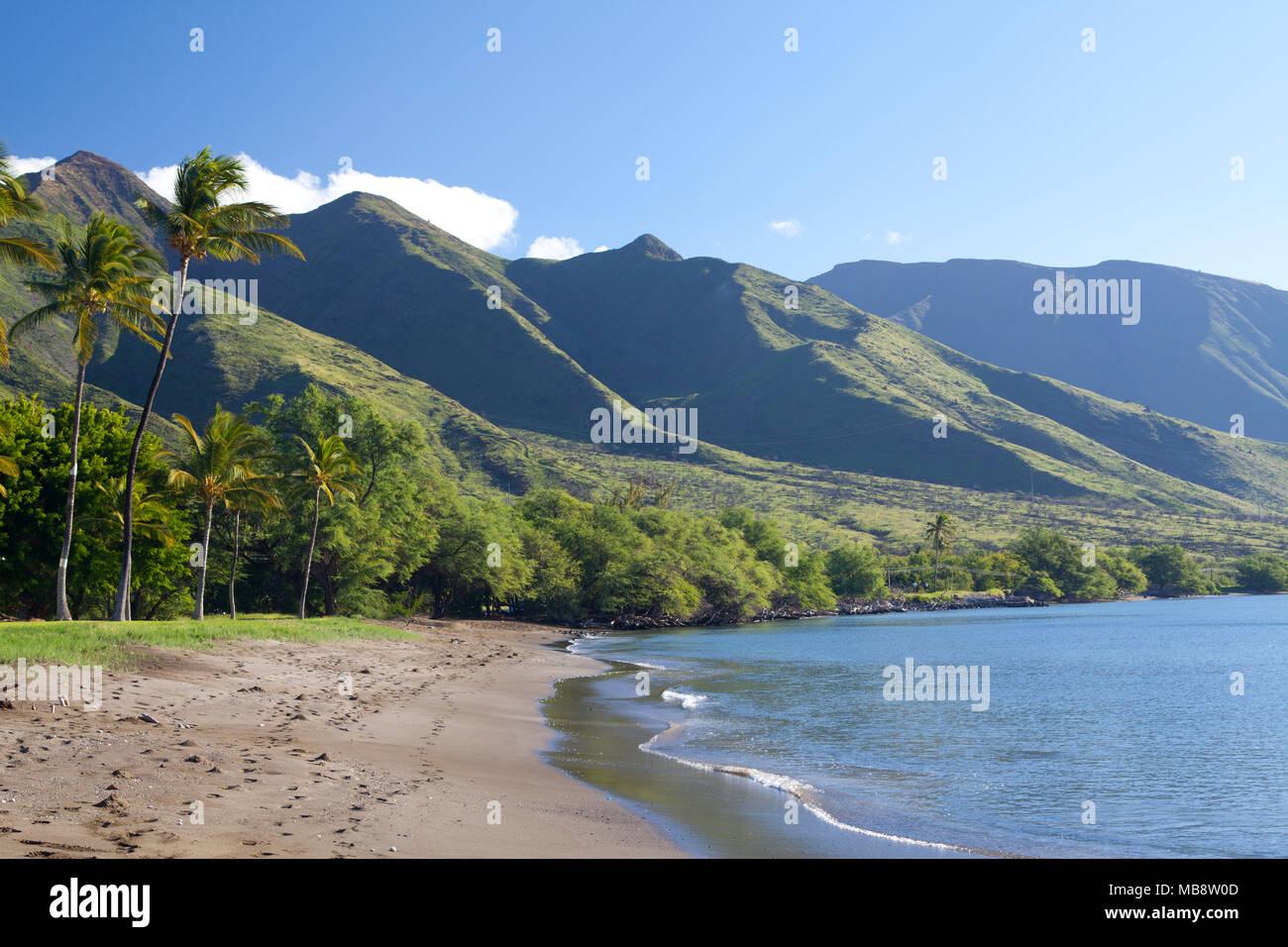 Morgen am Olowalu, Maui, Hawaii. Stockfoto