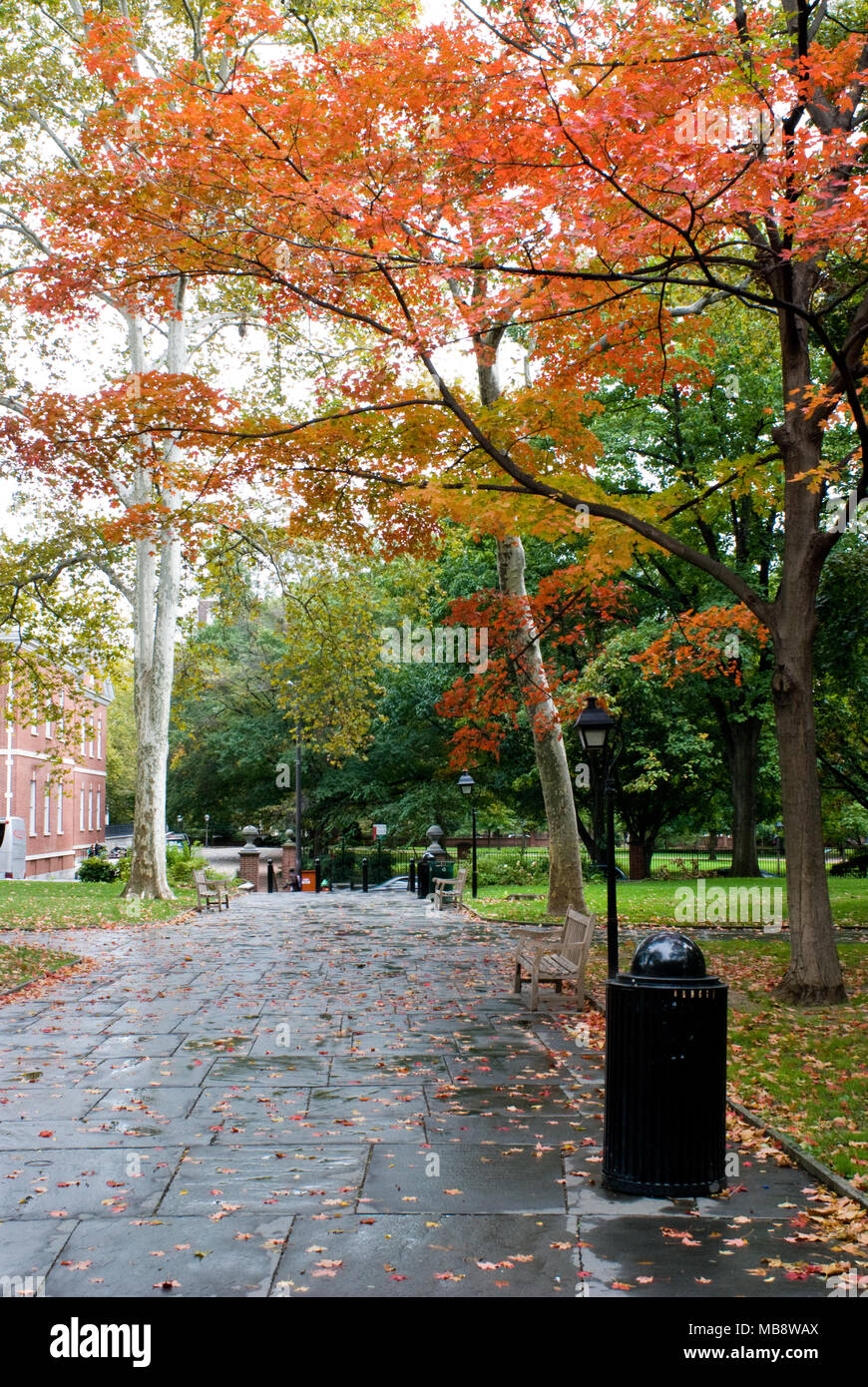 Einen Stein weg unter einen Baum mit roten Blättern in Philadelphia Center City Stockfoto