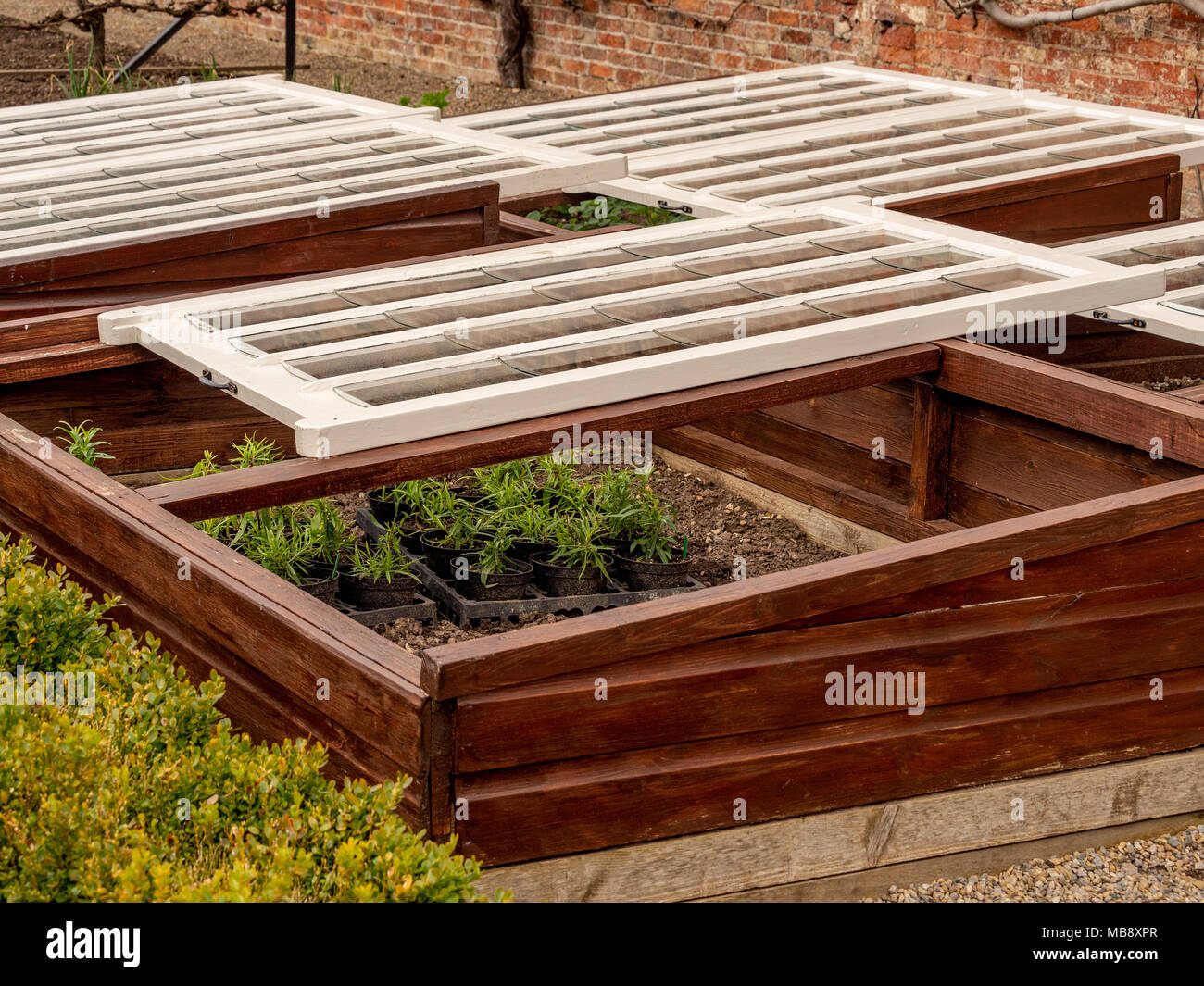 Holz- traditionellen Stil kalte Frame zarten Pflanzen vor Frost zu schützen. Stockfoto