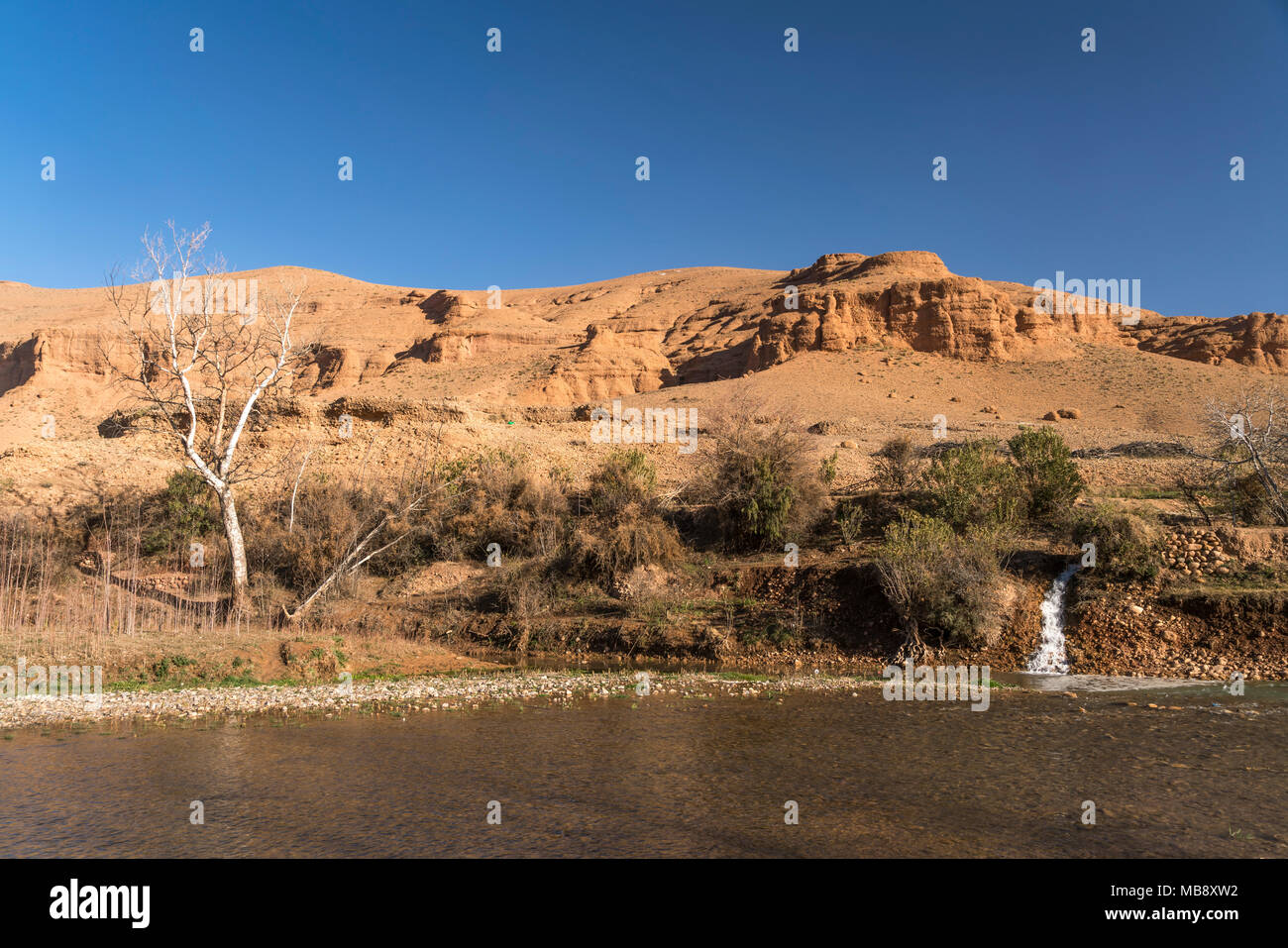 Fluss Dades im Dadestal, Boumalne, Königreich Marokko, Afrika | Dades Flusses in die Dades-schlucht, Boumalne, Königreich Marokko, Afrika Stockfoto