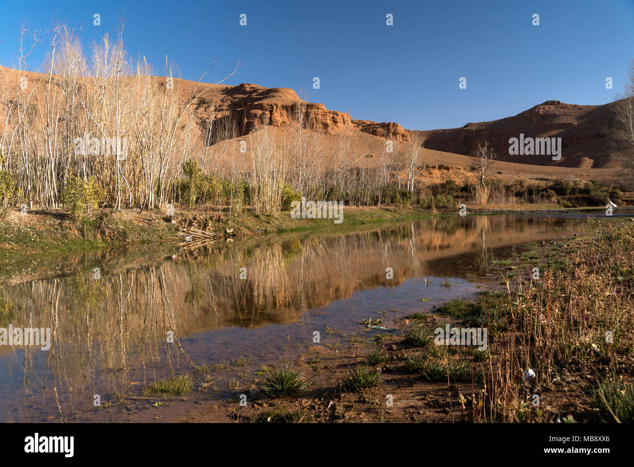 Fluss Dades im Dadestal, Boumalne, Königreich Marokko, Afrika | Dades Flusses in die Dades-schlucht, Boumalne, Königreich Marokko, Afrika Stockfoto