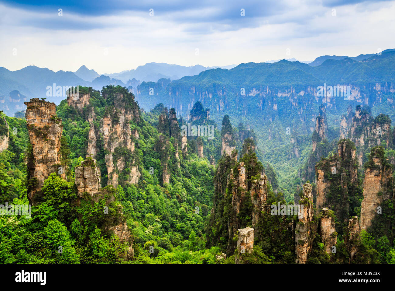 Quarzit Sandstein Säulen und Gipfel mit grünen Bäume und Berge Panorama, Zhangjiajie National Forest Park, Hunan Province, China Stockfoto