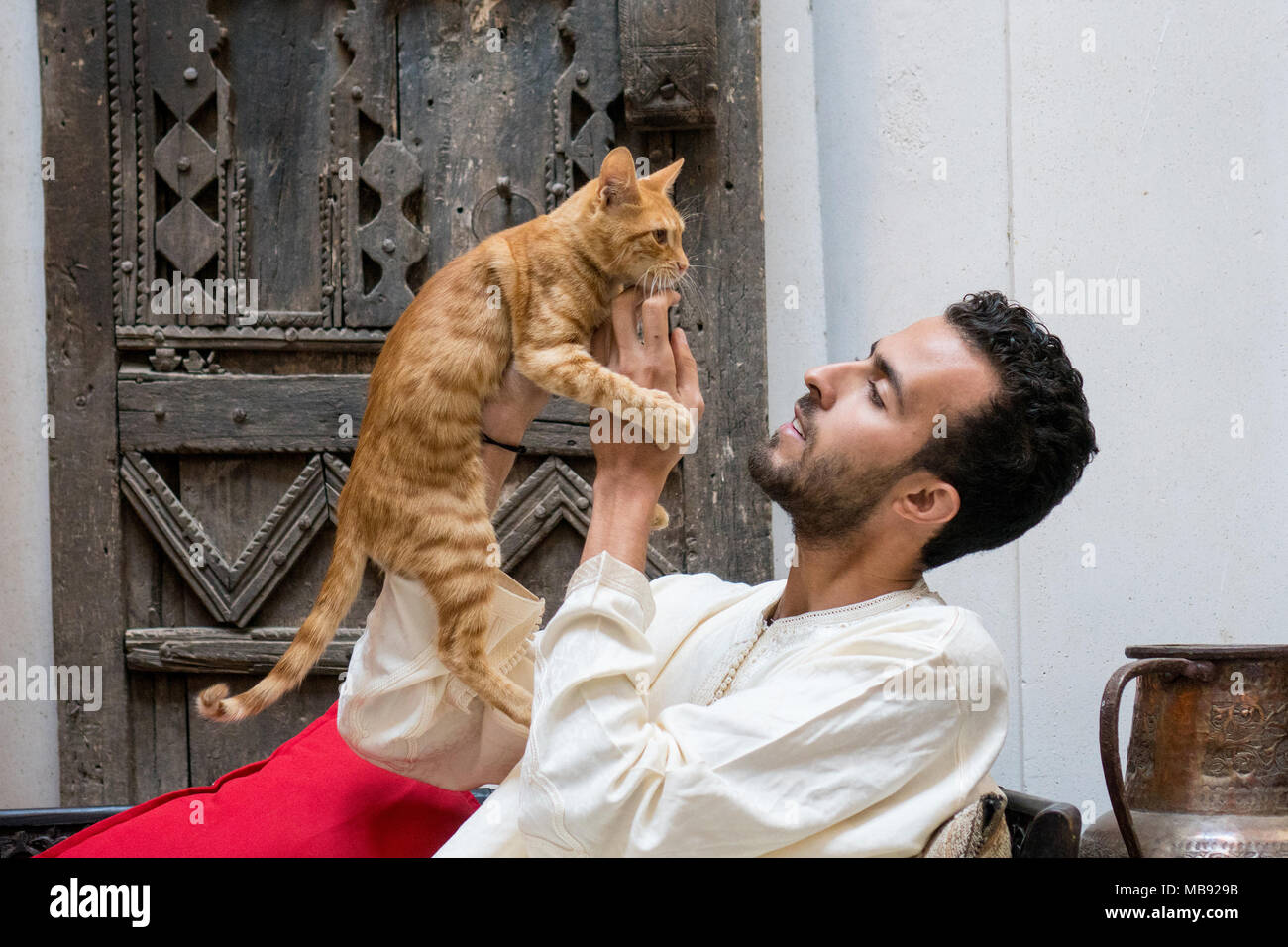 Junge muslimische Mann hält eine gelbe Katze vor einem geschmückten Wand Stockfoto