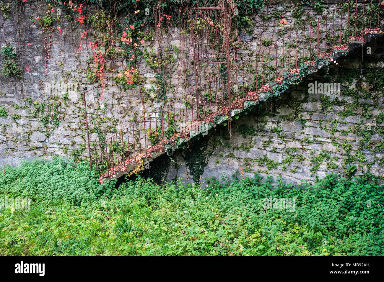 Abgebrochenen Treppen mit üppigem Laub vor der Mauer aus Stein bedeckt Stockfoto