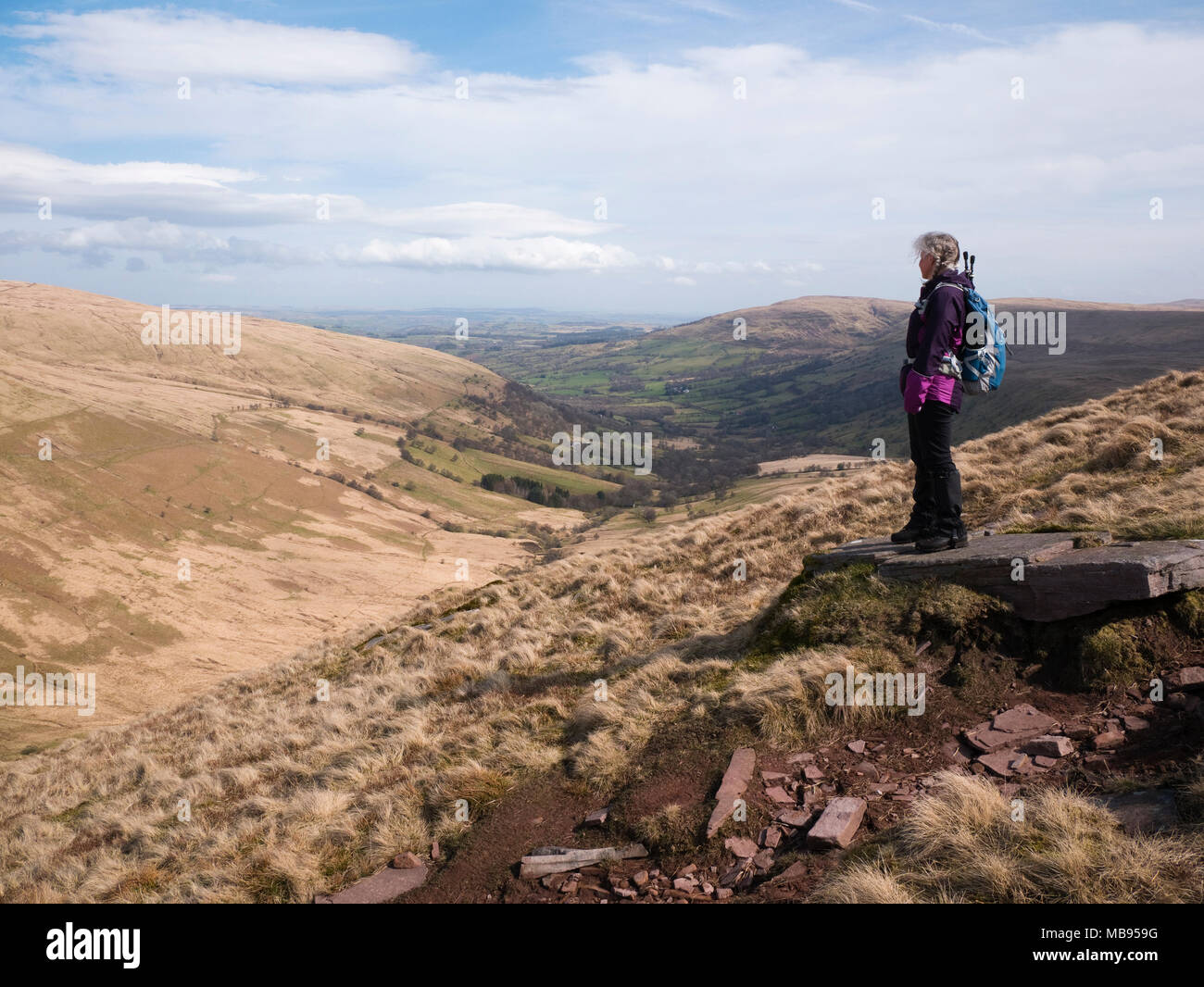 Weibliche Wanderer absteigend vom Lüfter Nedd, der Blick nach unten bewundern die Blaen Senni Tal, fforest Fawr, Brecon Beacons National Park, Wales, Großbritannien Stockfoto
