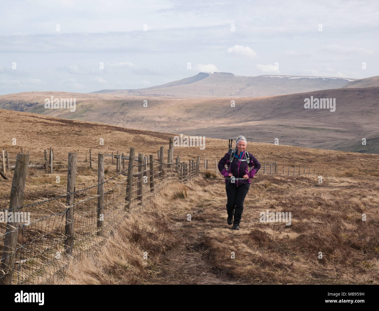 Weibliche Wanderer nähert sich Ventilator Gyhirych von Llangefni y Duwynt im Fforest Fawr, Brecon Beacons National Park. Pen y Fan und Mais Du Aufstieg in den Hintergrund. Stockfoto