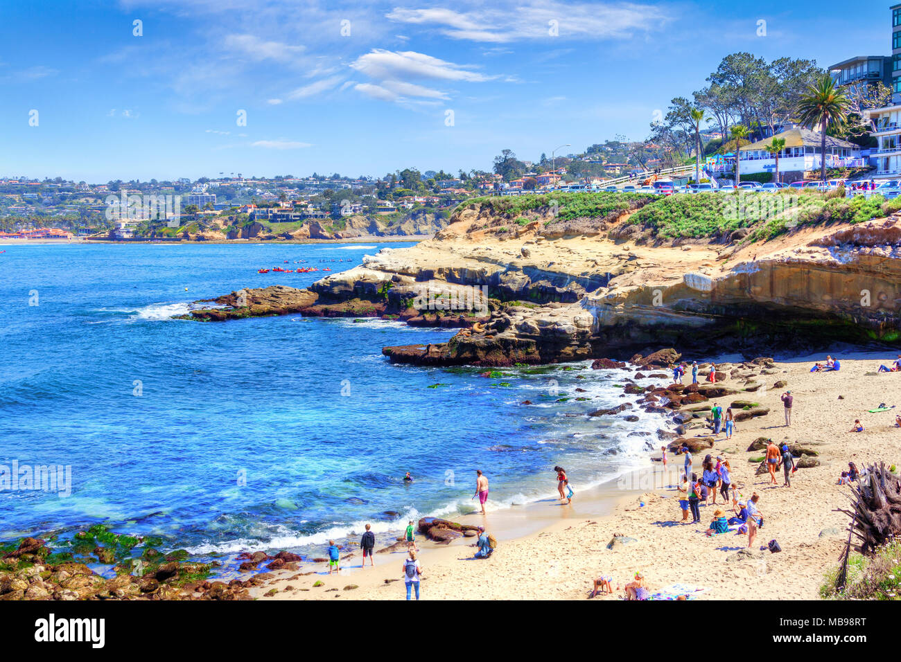 Beliebte Küstenstadt La Jolla Cove in San Diego mit einer Masse am Strand, Canoers auf dem Wasser, und eine Gruppe von Seelöwen auf den Felsen. Stockfoto