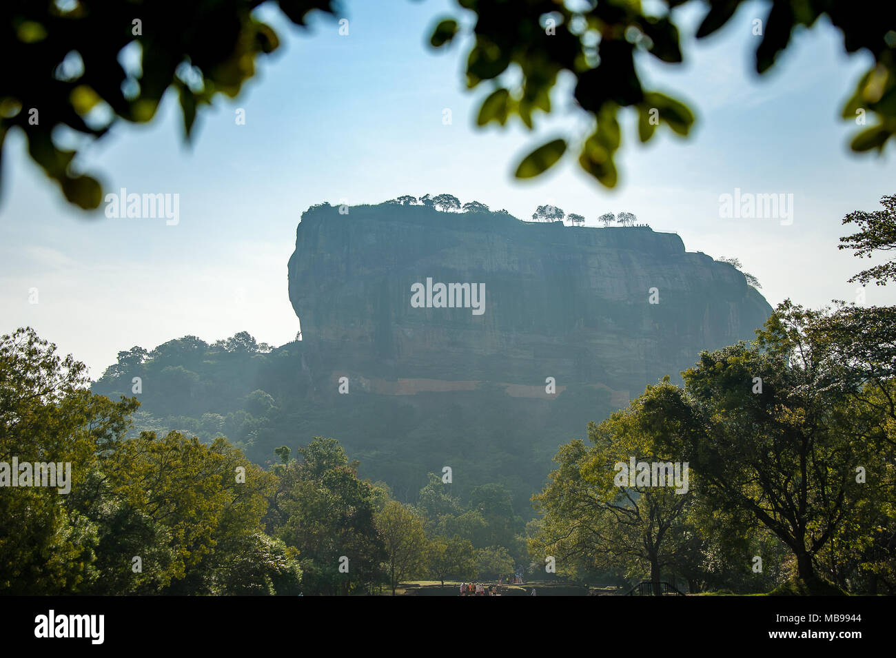 Schöne Aussicht nach Sigiriya-Felsen (Lion Rock) durch die Bäume. Sigiriya ist eine alte Festung und UNESCO-Weltkulturerbe in der Nähe von Dambulla, Sri Lanka Stockfoto