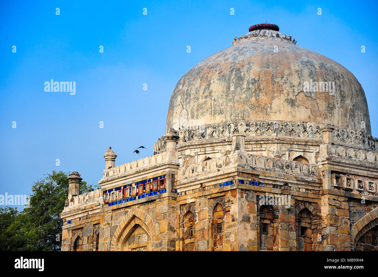 Schöne Shish Gumbad, gebaut 1489-1517 ist ein Grab in den Lodhi Gärten, New Delhi. Gewölbte Moschee mit blauer Himmel Stockfoto