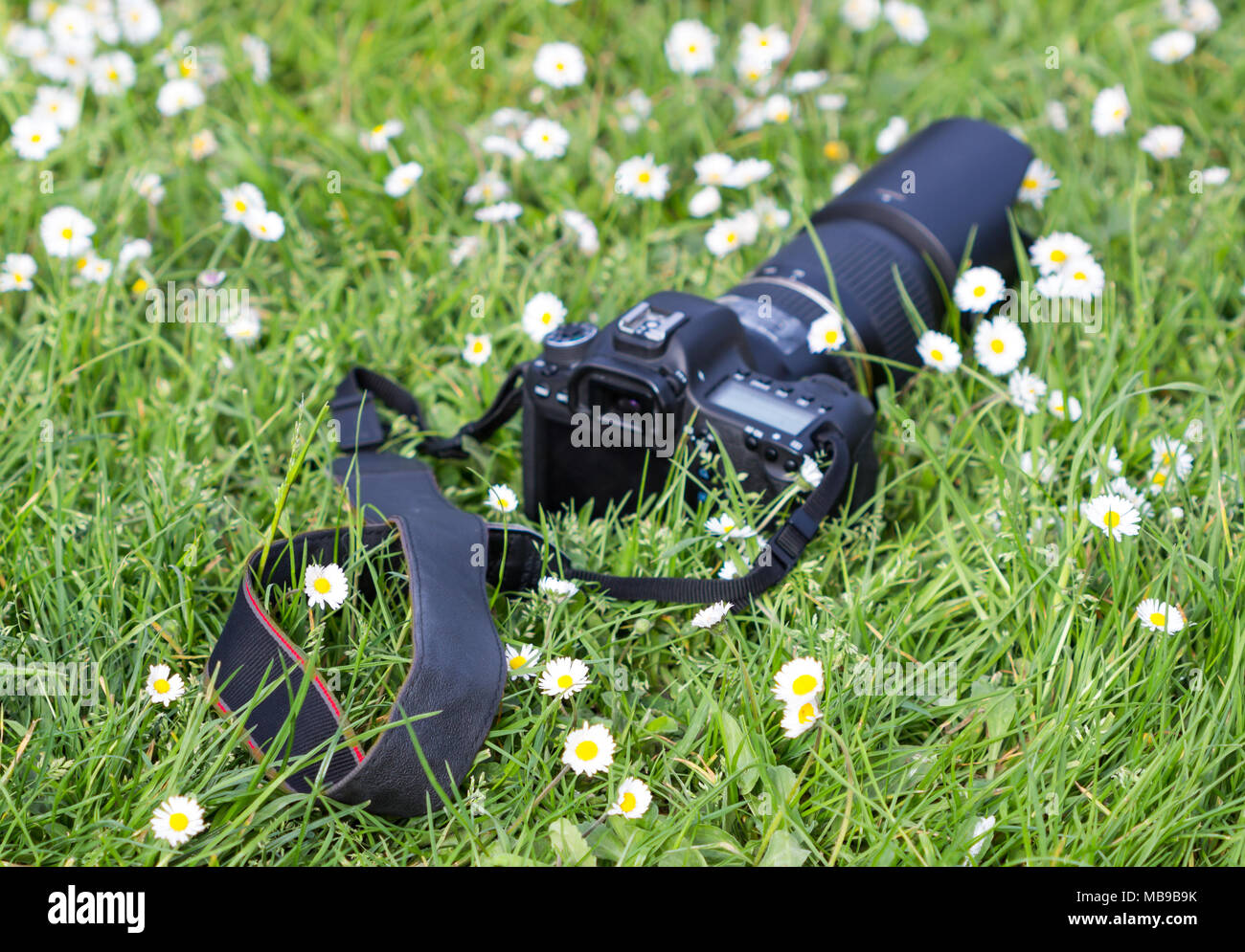 Unscharfes Bild. Professionelle Kamera im Gras und Blumen umgeben. Stockfoto