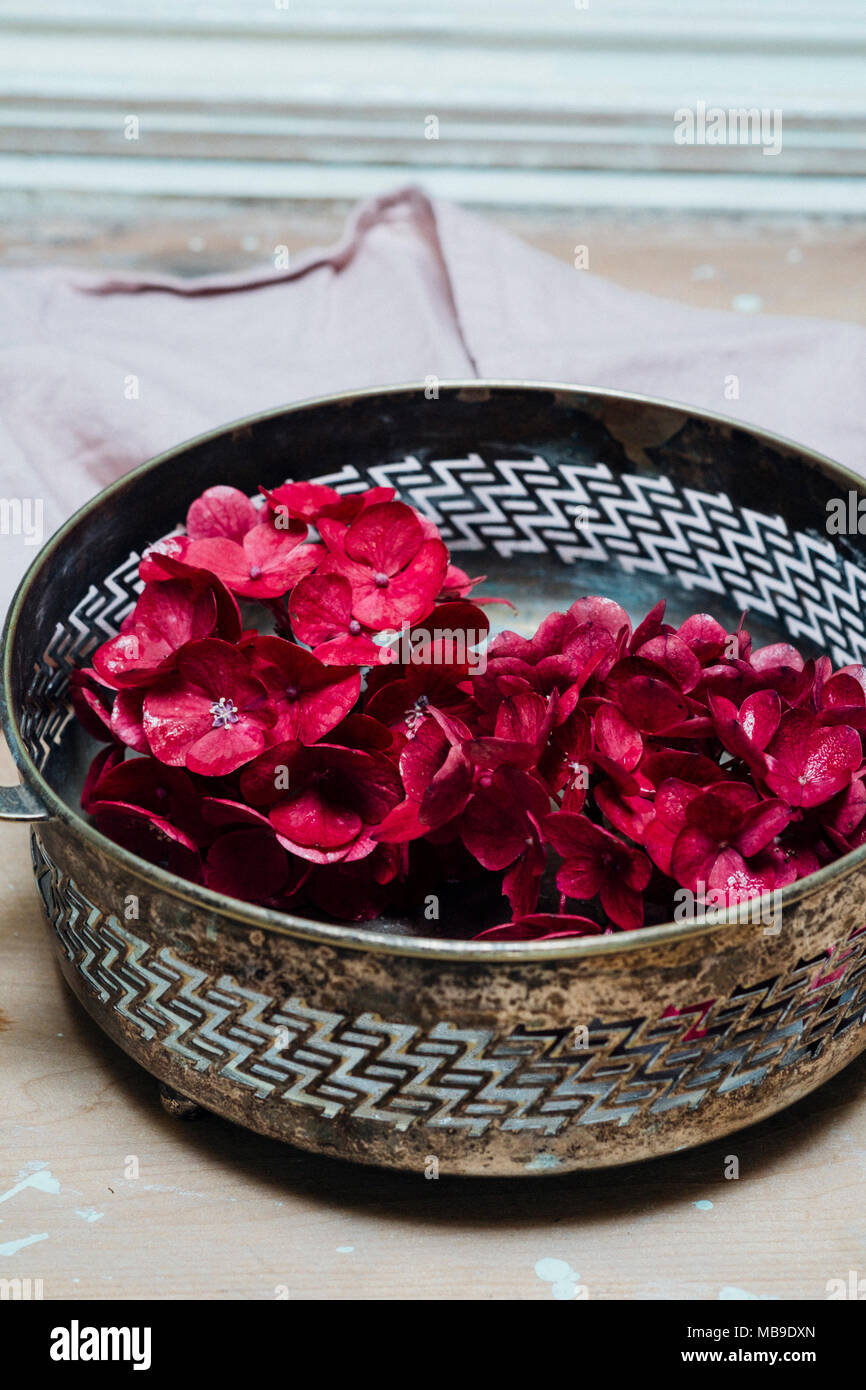 Rosa Blumen Stockfoto