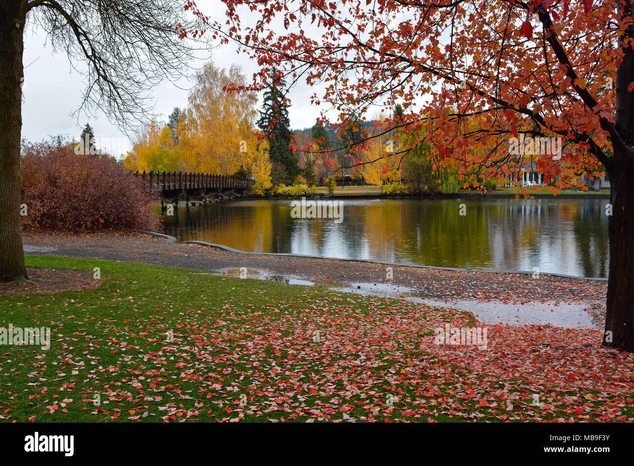 Drake Park BIEGEN ODER Stockfoto