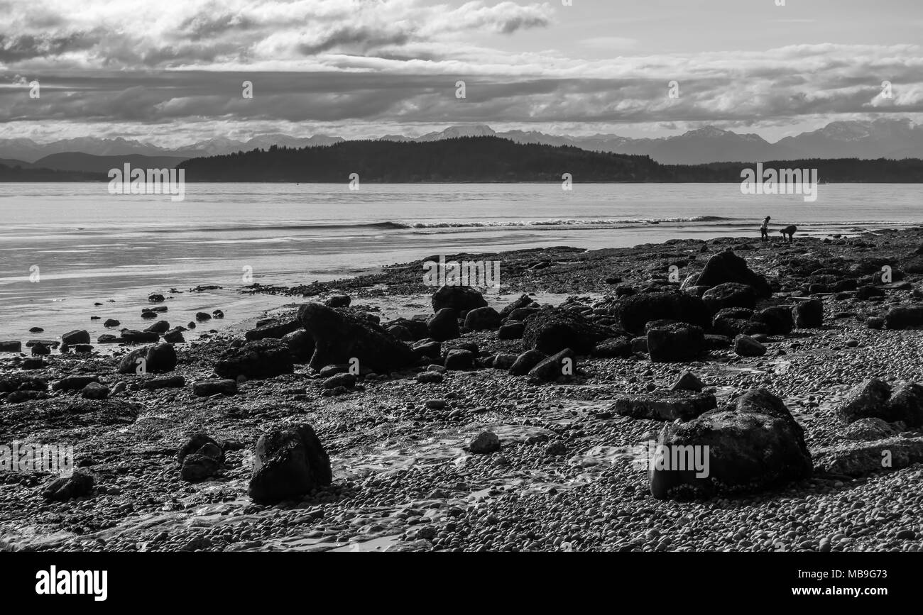 Ein Blick auf die Puget Sound bei Ebbe von West Seattle, Washington. Stockfoto