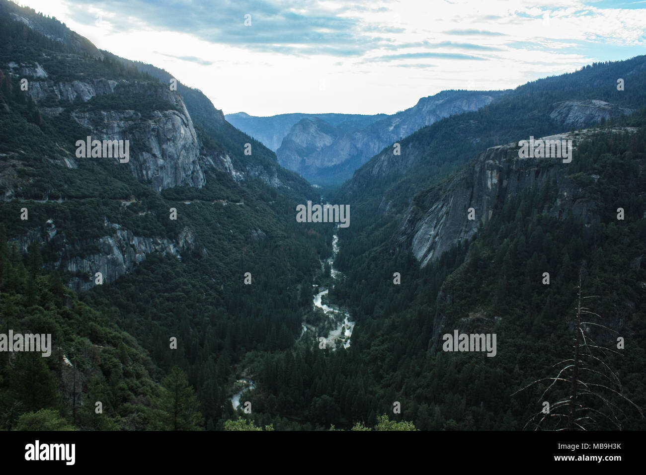 Yosemite Valley als von einem Aussichtspunkt über das Tal mit einem kristallklaren Fluss schlängelt sich durch den Wald gesehen. Yosemite Nationalpark, Kalifornien. Stockfoto