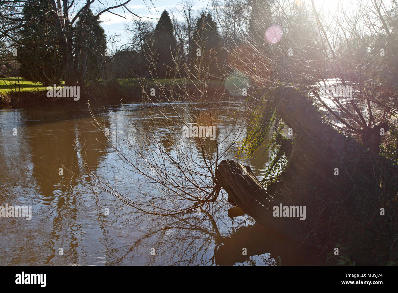 Monkey Island an der Themse, Bray, Großbritannien Stockfoto