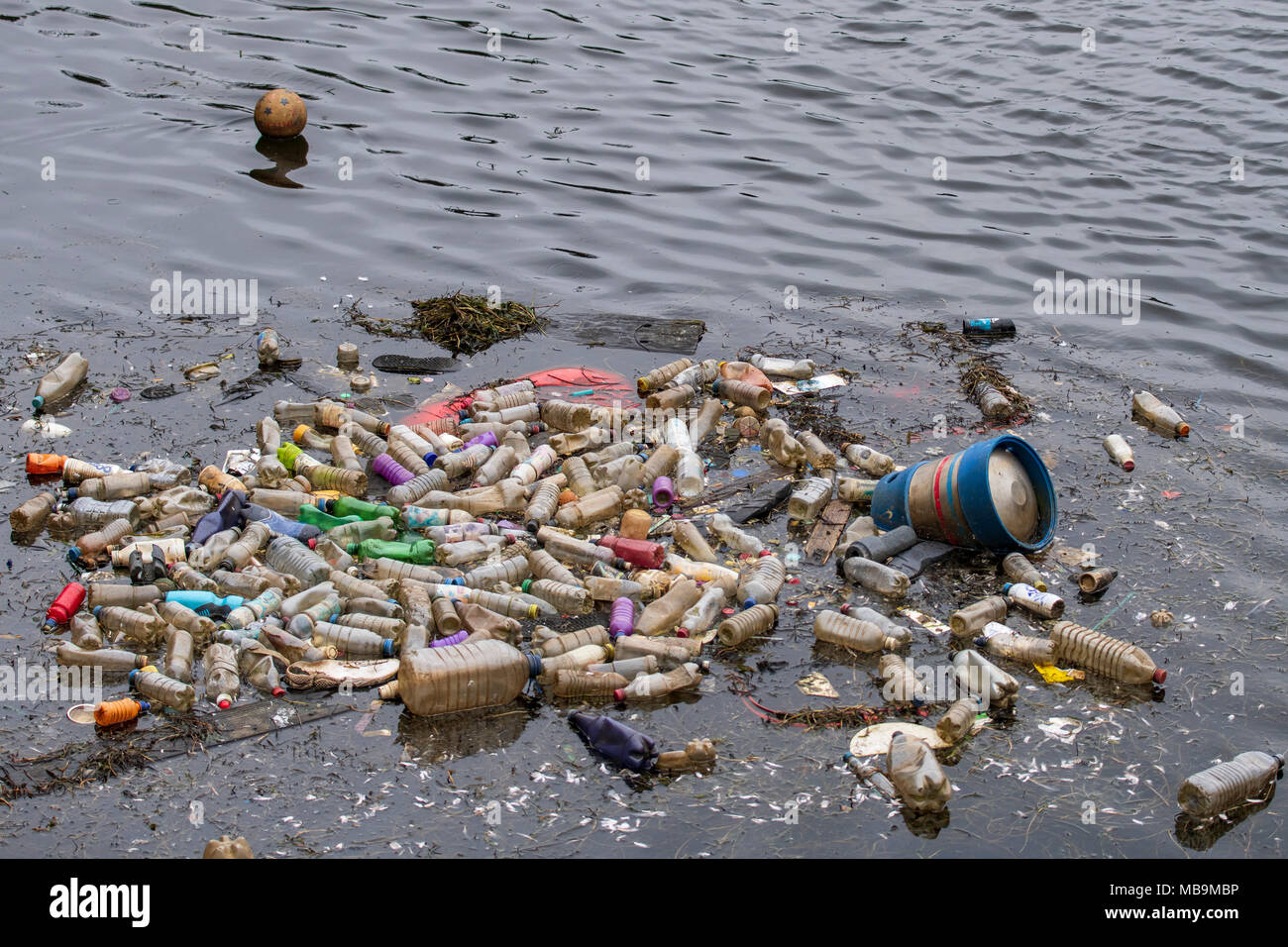 Abfälle single use Plastikflaschen schwimmend im Wasser an der Cardiff Bay, Wales, UK gesehen. Stockfoto