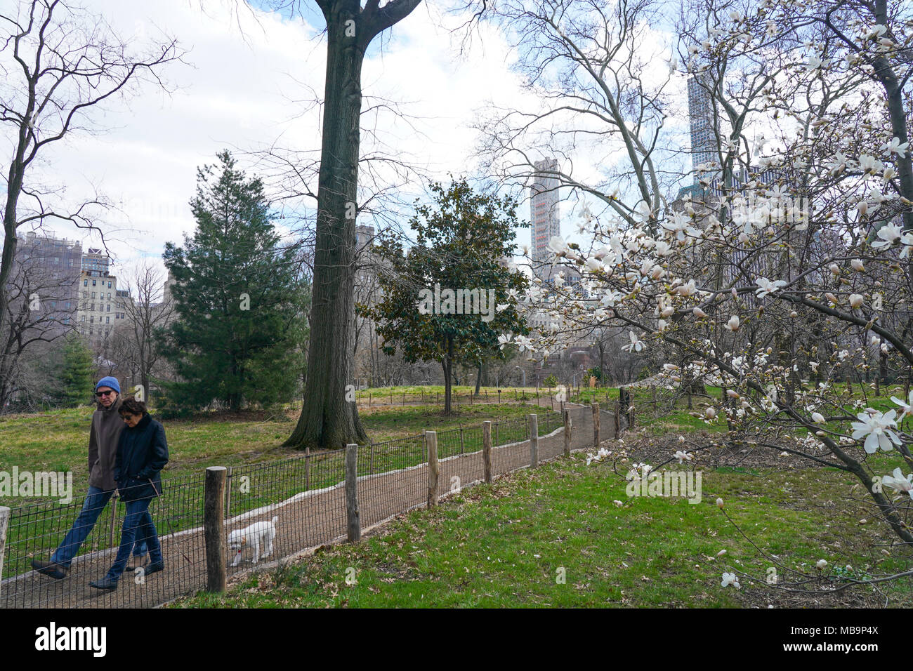 New York, USA. 8. April 2018. Leute genießen sonnige Wetter im Frühling im Central Park, New York. Foto Datum: Sonntag, 8. April 2018. Foto: Roger Garfield/Alamy Unterhaltung Quelle: Roger Garfield/Alamy leben Nachrichten Stockfoto